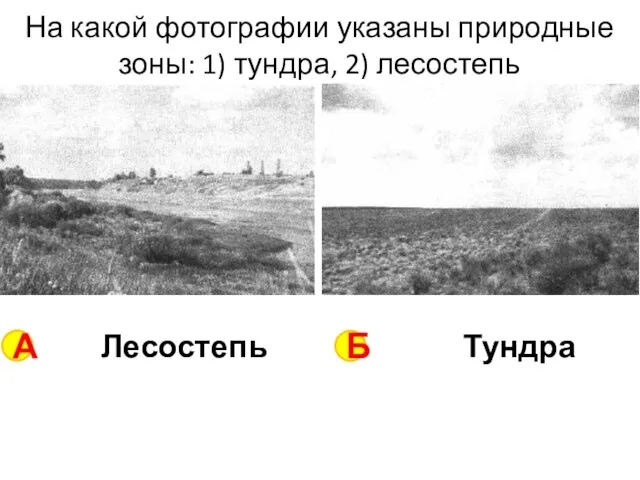 На какой фотографии указаны природные зоны: 1) тундра, 2) лесостепь А Б Лесостепь Тундра