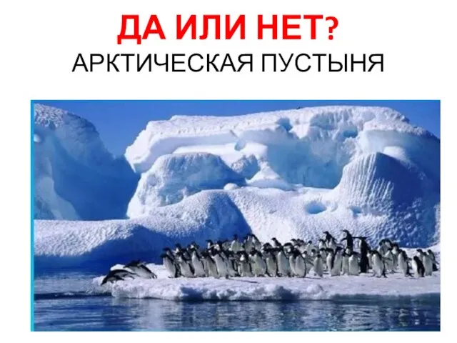 ДА ИЛИ НЕТ? АРКТИЧЕСКАЯ ПУСТЫНЯ