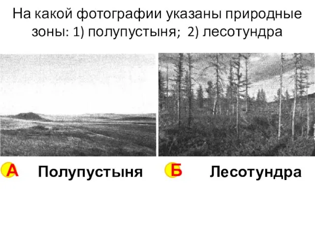 На какой фотографии указаны природные зоны: 1) полупустыня; 2) лесотундра А Б Полупустыня Лесотундра