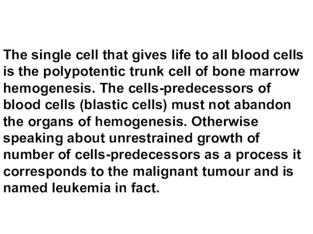The single cell that gives life to all blood cells is