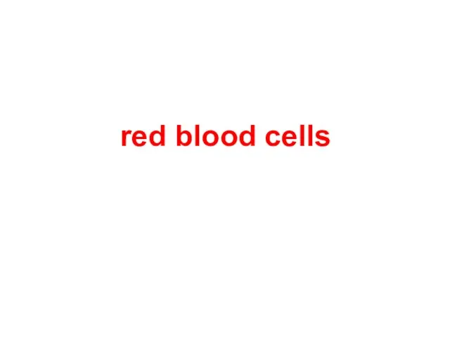 red blood cells