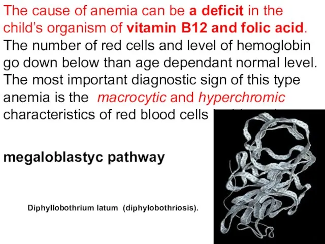 The cause of anemia can be a deficit in the child’s