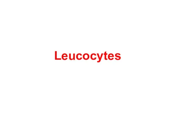 Leucocytes