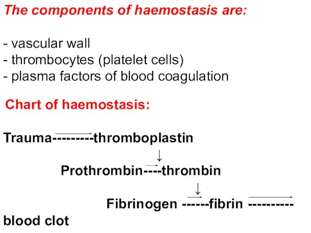 The components of haemostasis are: - vascular wall - thrombocytes (platelet