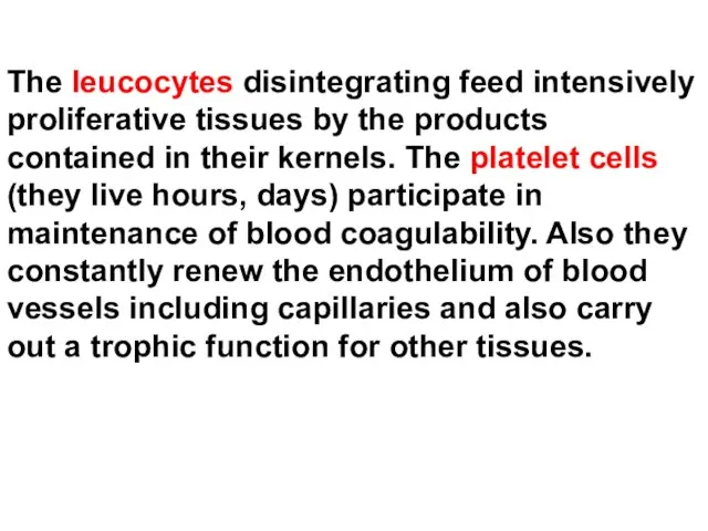 The leucocytes disintegrating feed intensively proliferative tissues by the products contained