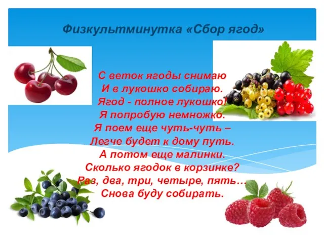 С веток ягоды снимаю И в лукошко собираю. Ягод - полное