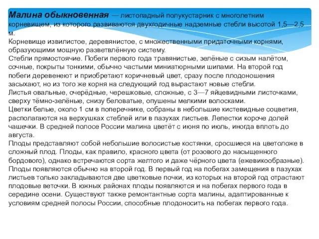 Малина обыкновенная — листопадный полукустарник с многолетним корневищем, из которого развиваются