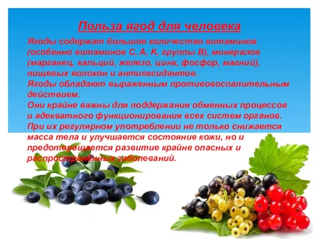 Ягоды содержат большое количество витаминов (особенно витаминов C, A, K, группы