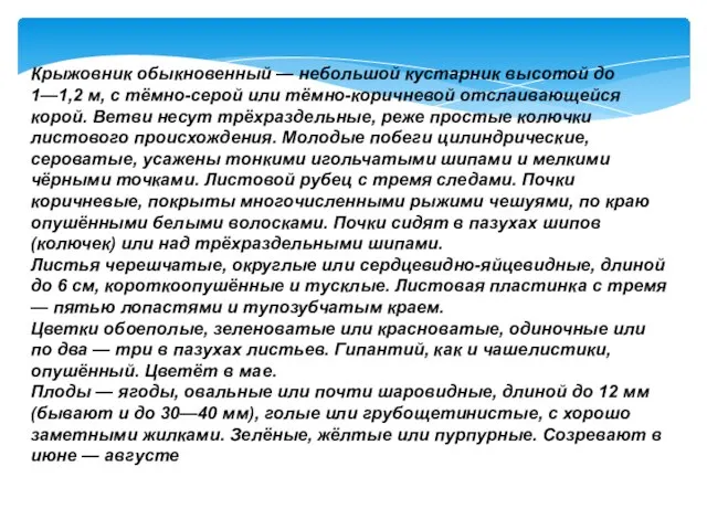 Крыжовник обыкновенный — небольшой кустарник высотой до 1—1,2 м, с тёмно-серой