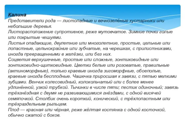 Калина Представители рода — листопадные и вечнозелёные кустарники или небольшие деревья.