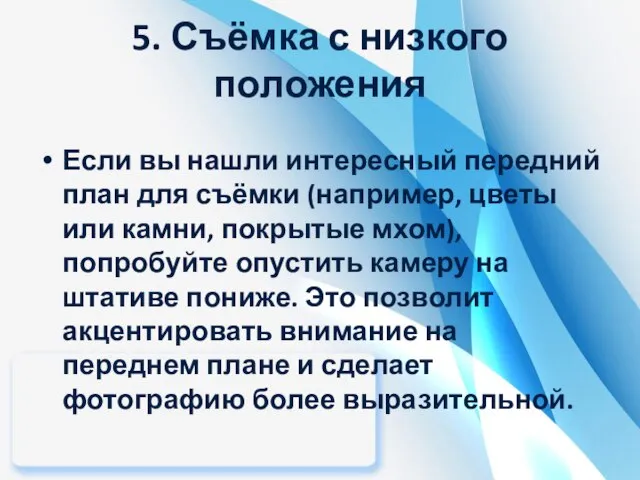 5. Съёмка с низкого положения Если вы нашли интересный передний план