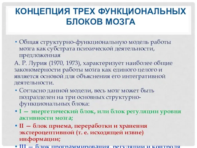 КОНЦЕПЦИЯ ТРЕХ ФУНКЦИОНАЛЬНЫХ БЛОКОВ МОЗГА Общая структурно-функциональную модель работы мозга как