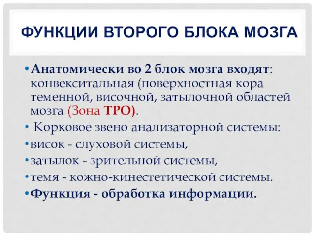 ФУНКЦИИ ВТОРОГО БЛОКА МОЗГА Анатомически во 2 блок мозга входят: конвекситальная