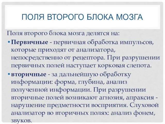 ПОЛЯ ВТОРОГО БЛОКА МОЗГА Поля второго блока мозга делятся на: Первичные