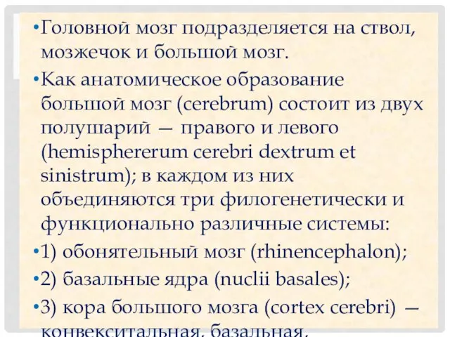 Головной мозг подразделяется на ствол, мозжечок и большой мозг. Как анатомическое