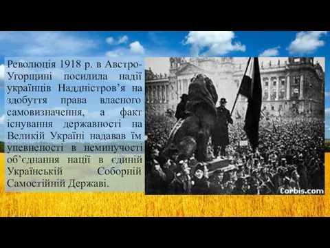 Революція 1918 р. в Австро-Угорщині посилила надії українців Наддністров’я на здобуття