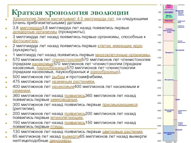 Краткая хронология эволюции Хронология Земли насчитывает 4.5 миллиарда лет, со следующими