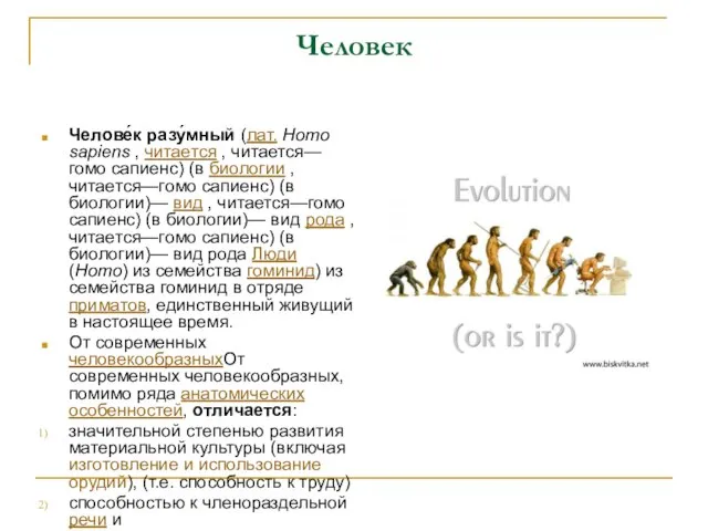 Человек Челове́к разу́мный (лат. Homo sapiens , читается , читается—гомо сапиенс)