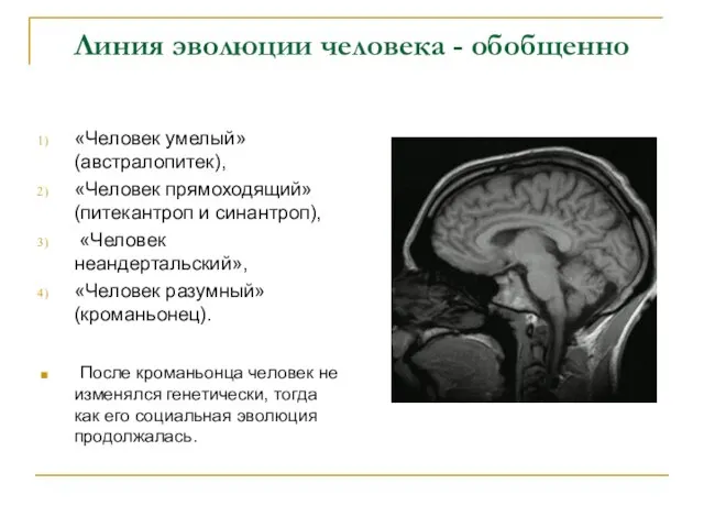 Линия эволюции человека - обобщенно «Человек умелый» (австралопитек), «Человек прямоходящий» (питекантроп