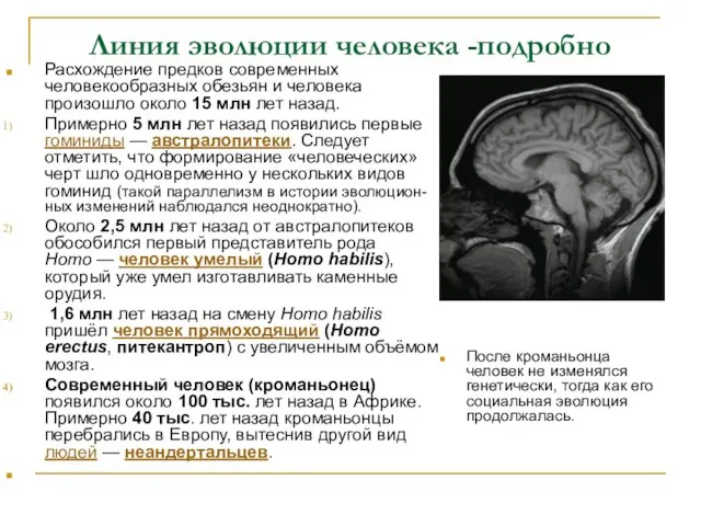 Линия эволюции человека -подробно Расхождение предков современных человекообразных обезьян и человека