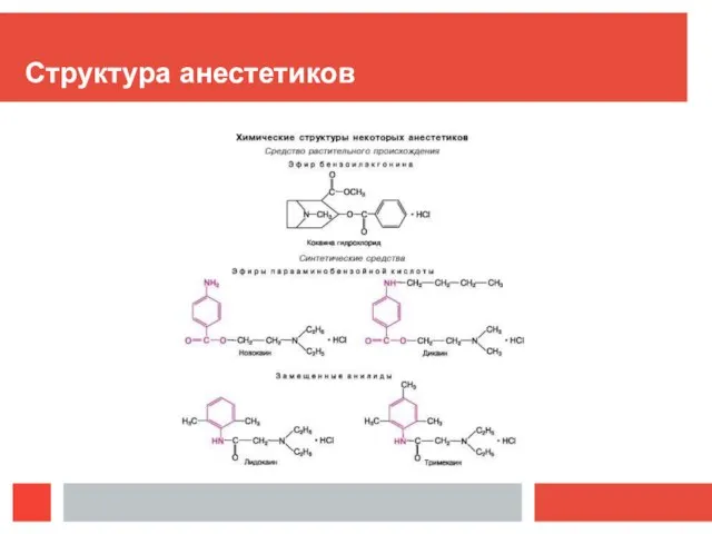 Структура анестетиков