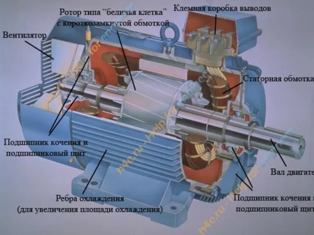 Устройство асинхронного двигателя