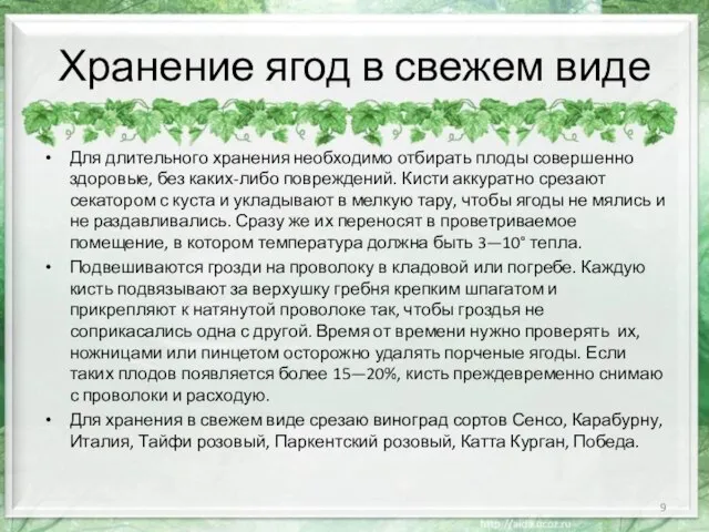 Хранение ягод в свежем виде Для длительного хранения необходимо отбирать плоды