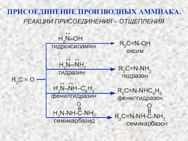 РЕАКЦИИ ПРИСОЕДИНЕНИЯ – ОТЩЕПЛЕНИЯ R2C = O H2N‒OH гидроксиламин R2C=N-OH оксим