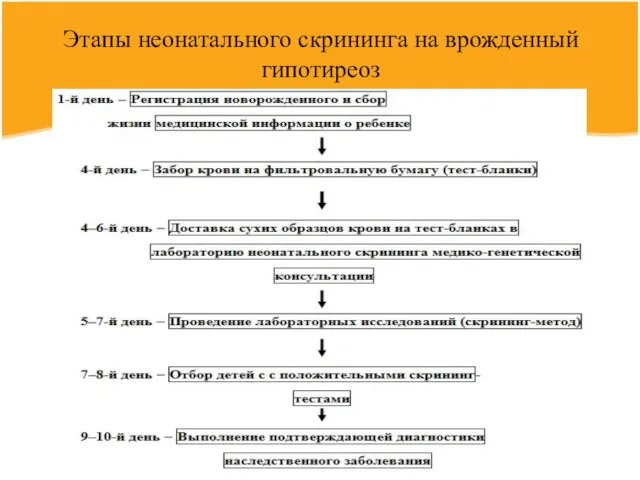 Этапы неонатального скрининга на врожденный гипотиреоз