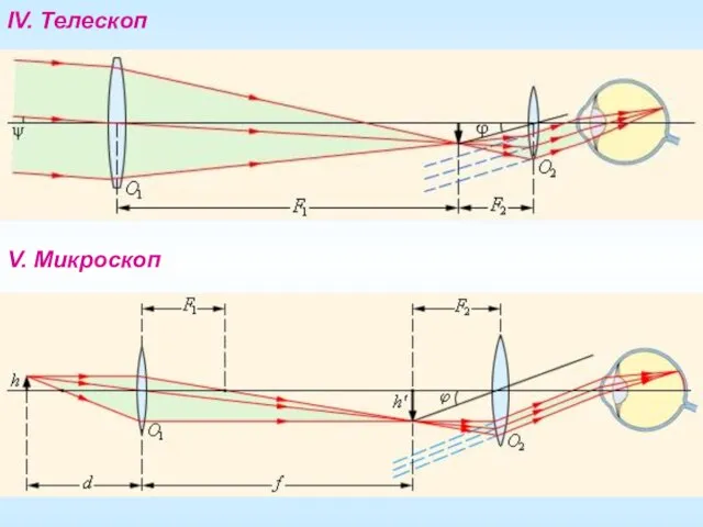 IV. Телескоп V. Микроскоп