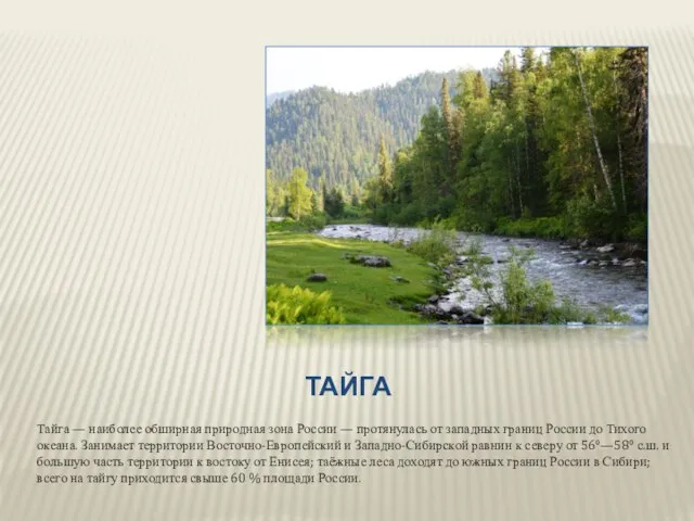 ТАЙГА Тайга — наиболее обширная природная зона России — протянулась от