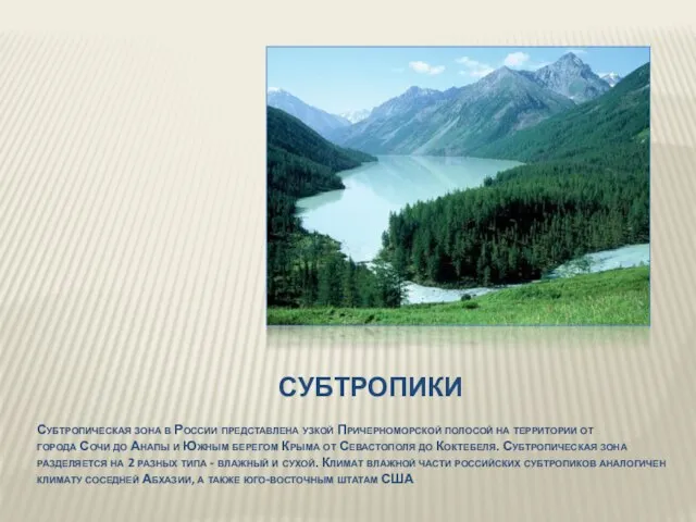 СУБТРОПИКИ Субтропическая зона в России представлена узкой Причерноморской полосой на территории