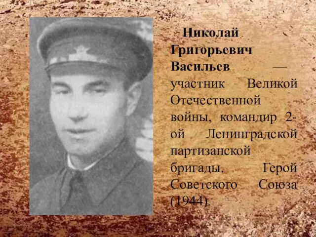 Николай Григорьевич Васильев — участник Великой Отечественной войны, командир 2-ой Ленинградской