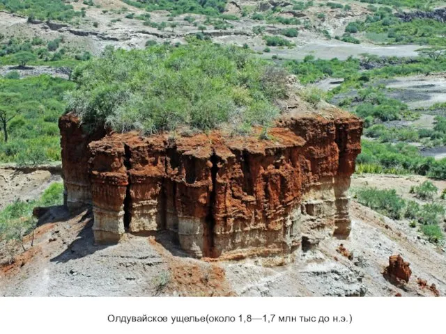 Олдувайское ущелье(около 1,8—1,7 млн тыс до н.э.)