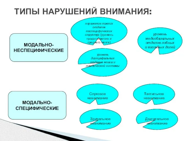 ТИПЫ НАРУШЕНИЙ ВНИМАНИЯ: МОДАЛЬНО- НЕСПЕЦИФИЧЕСКИЕ МОДАЛЬНО- СПЕЦИФИЧЕСКИЕ поражение нижних отделов неспецифических