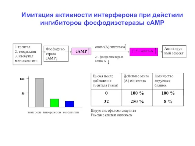 Имитация активности интерферона при действии ингибиторов фосфодиэстеразы сАМР