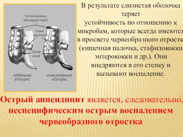 В результате слизистая оболочка теряет устойчивость по отношению к микробам, которые