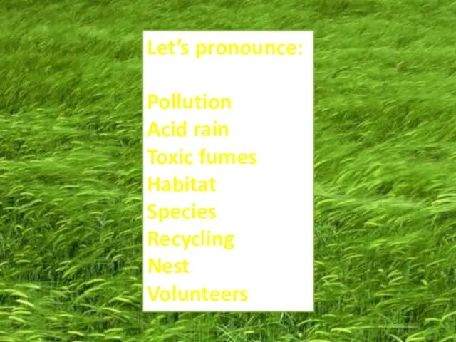 Let’s pronounce: Pollution Acid rain Toxic fumes Habitat Species Recycling Nest Volunteers