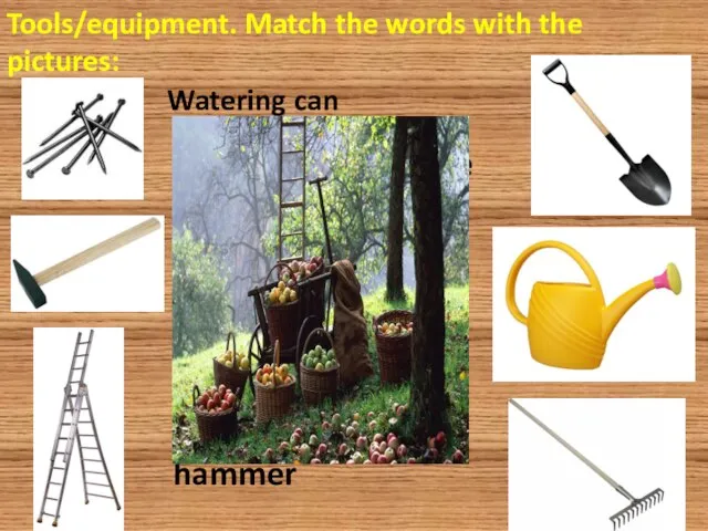 Tools/equipment. Match the words with the pictures: Watering can nails hammer spade ladder rake