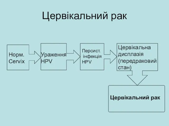 Цервікальний рак Норм. Cervix Ураження HPV Персист. інфекція HPV Цервікальна дисплазія (передраковий стан)