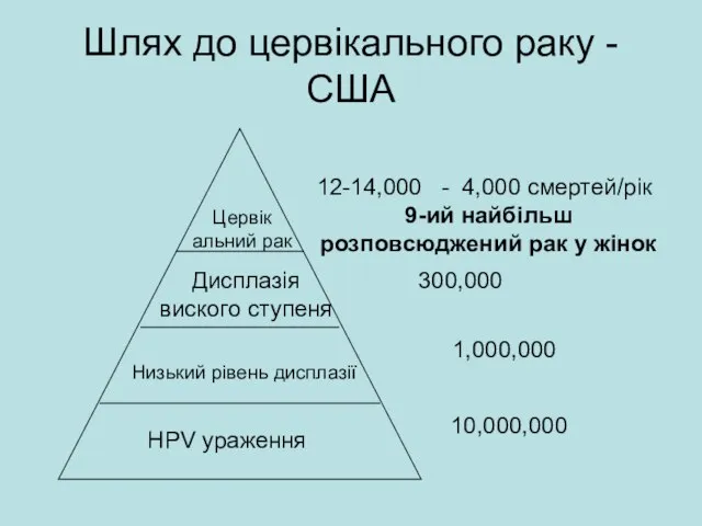 Шлях до цервікального раку - США HPV ураження Низький рівень дисплазії