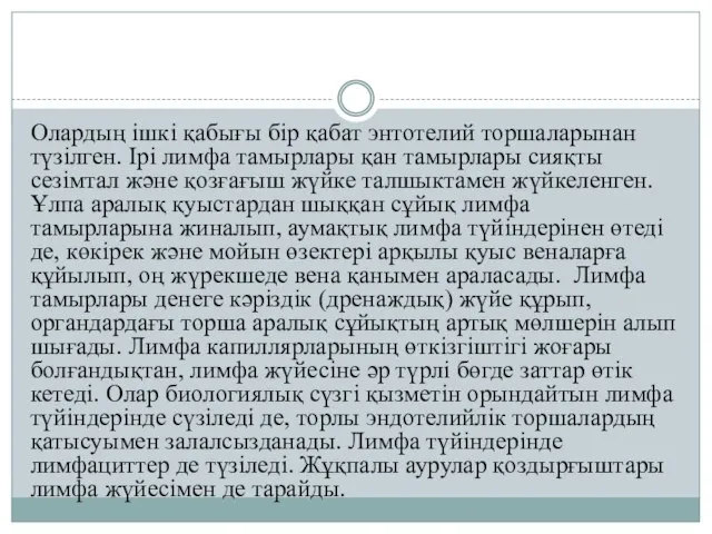 Олардың ішкі қабығы бір қабат энтотелий торшаларынан түзілген. Ірі лимфа тамырлары