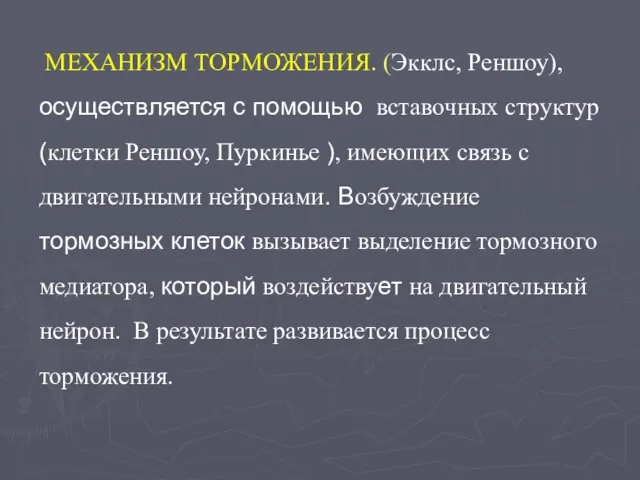 МЕХАНИЗМ ТОРМОЖЕНИЯ. (Экклс, Реншоу), осуществляется с помощью вставочных структур (клетки Реншоу,