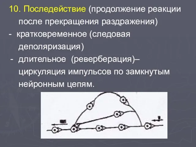 10. Последействие (продолжение реакции после прекращения раздражения) - кратковременное (следовая деполяризация)