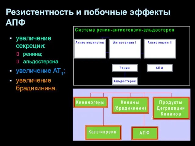 Резистентность и побочные эффекты АПФ увеличение секреции: ренина; альдостерона увеличение АТ1; увеличение брадикинина.