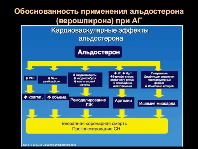 Обоснованность применения альдостерона (верошпирона) при АГ