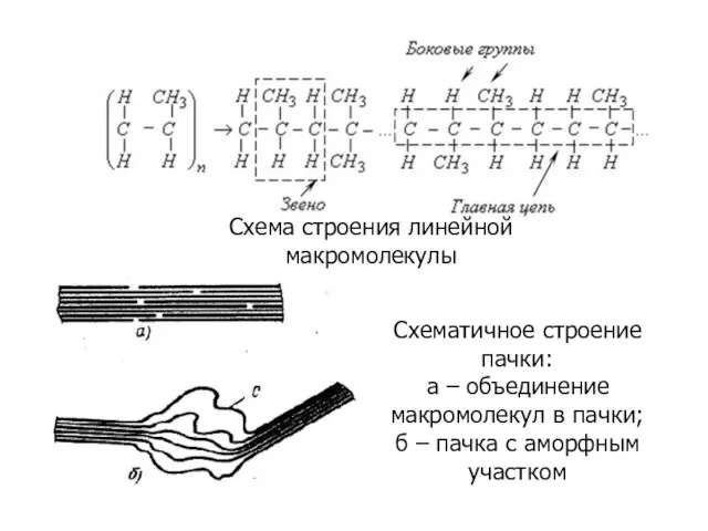 Схема строения линейной макромолекулы Схематичное строение пачки: а – объединение макромолекул