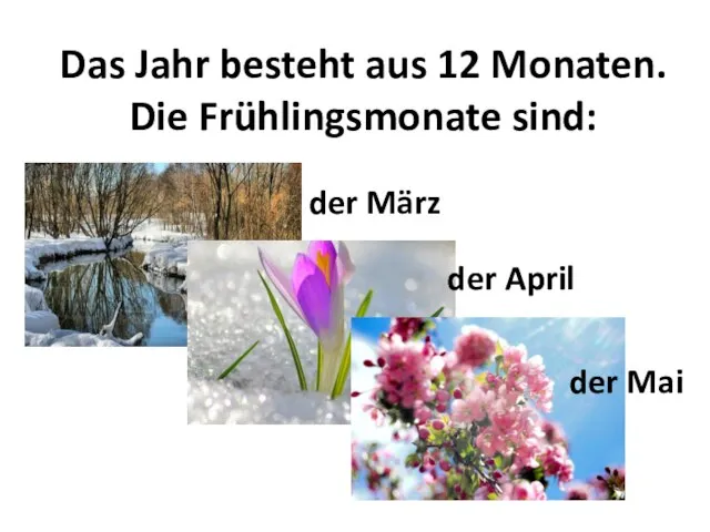 Das Jahr besteht aus 12 Monaten. Die Frühlingsmonate sind: der März der April der Mai