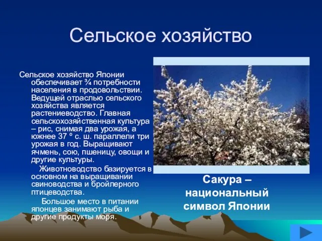 Сельское хозяйство Сельское хозяйство Японии обеспечивает ¾ потребности населения в продовольствии.