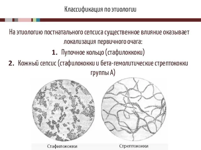 Классификация по этиологии На этиологию постнатального сепсиса существенное влияние оказывает локализация